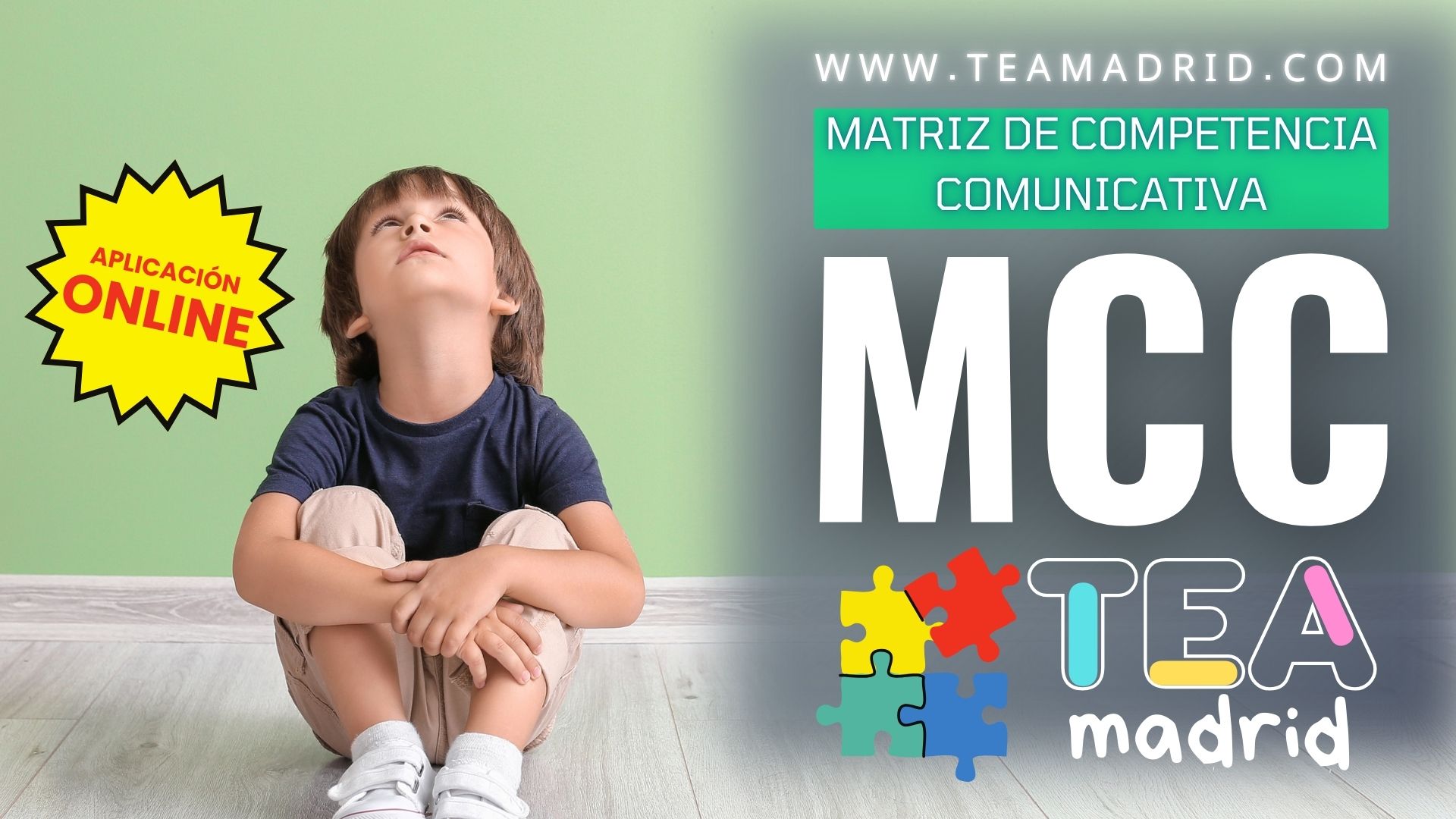 Compete Tea Matriz de Competencia Comunicativa - Autismo Madrid